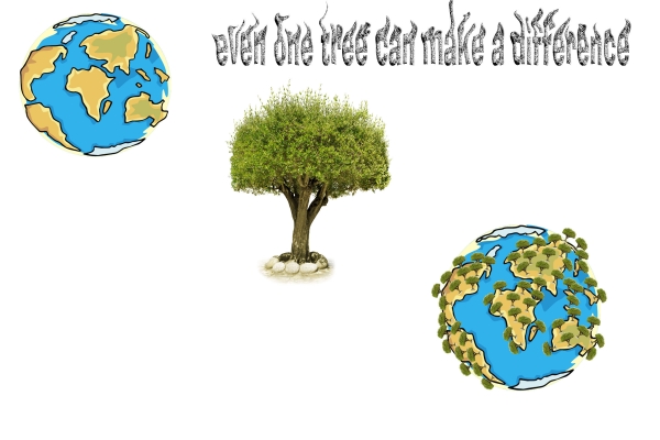 Creation of one tree: Step 3